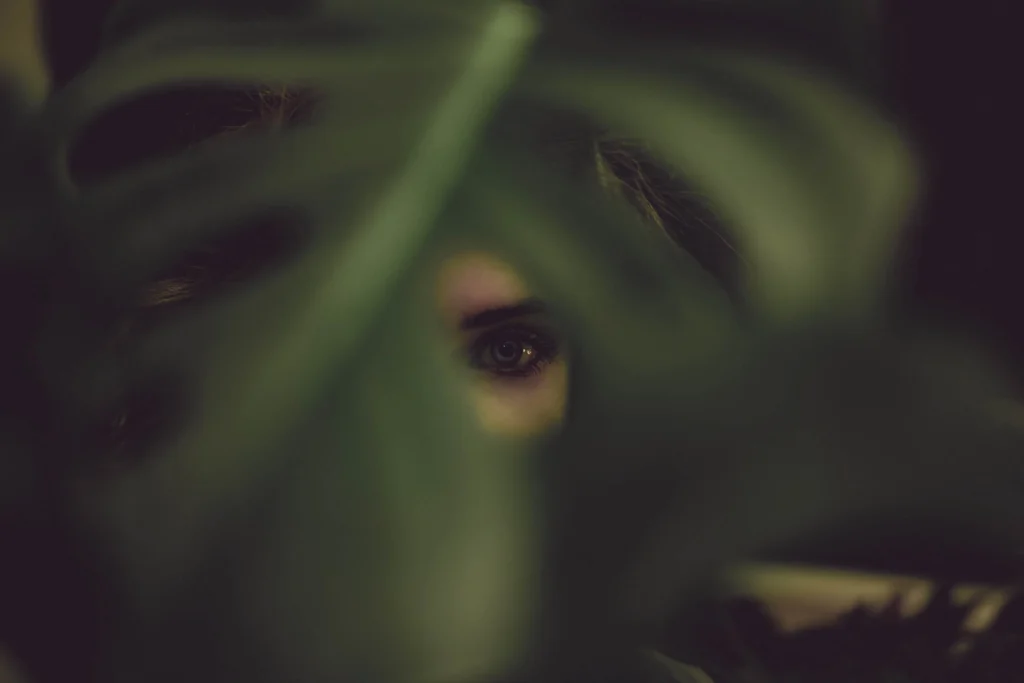 Amber looking through the fenestration of a monstera leaf.