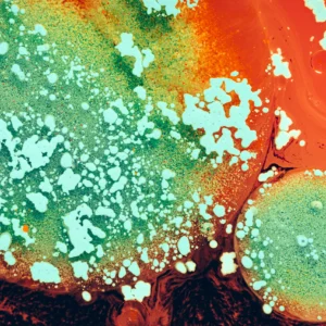 An abstract macro photograph of acrylic paint, oil, and water.